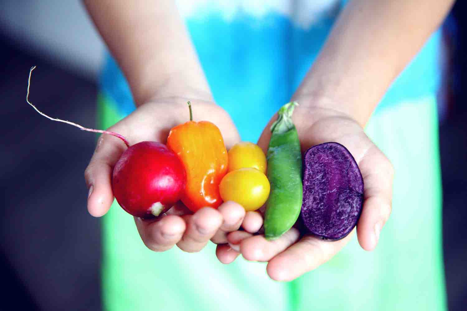 Supplements vs. food (handful of vegetables in rainbow colors)