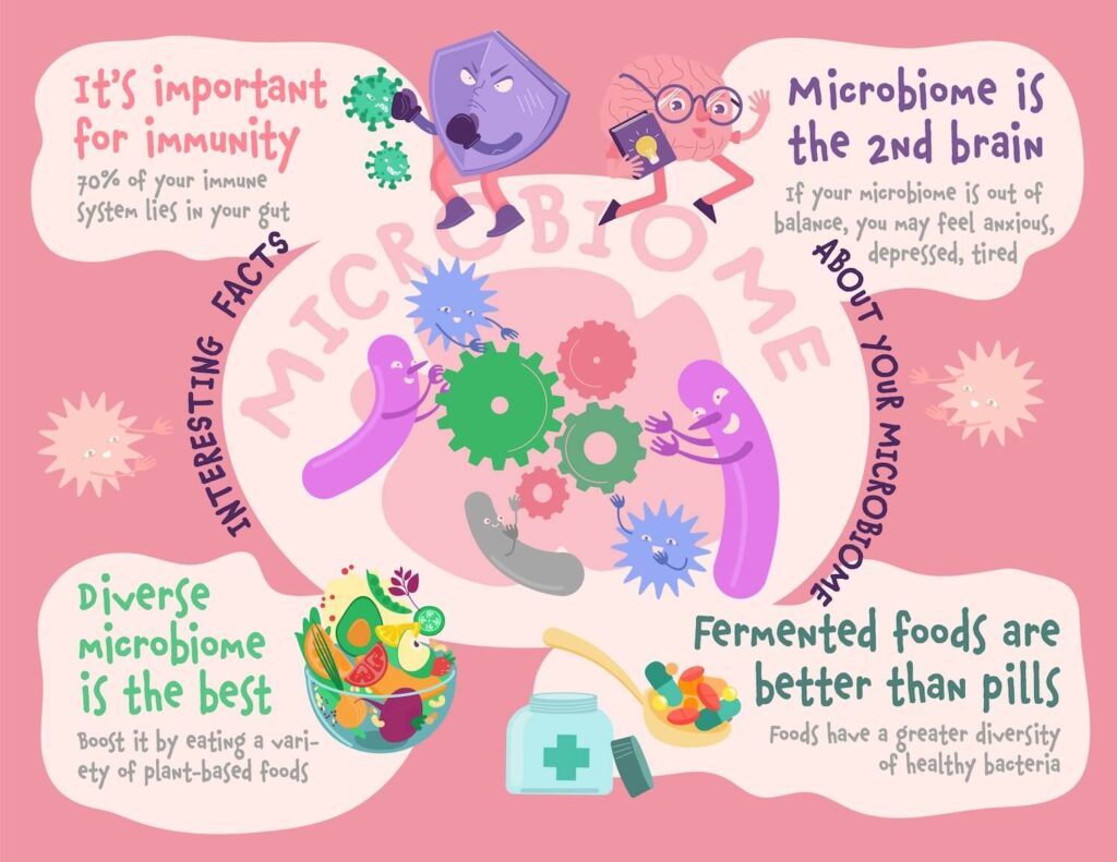 gut microbiome illustration showing how diet affects beneficial bacteria and health