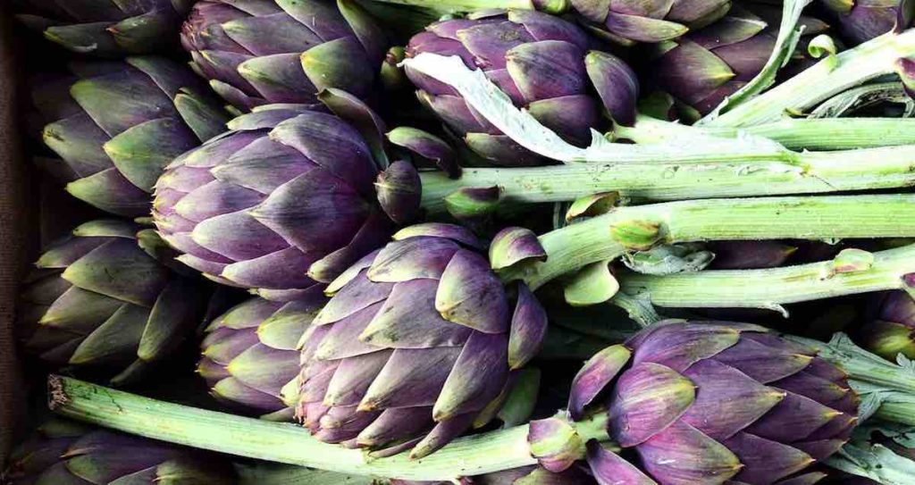 health benefits vegetables artichoke microbiome
