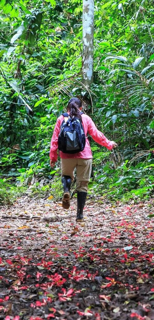 Cynthia Liu walking along a rainforest trail